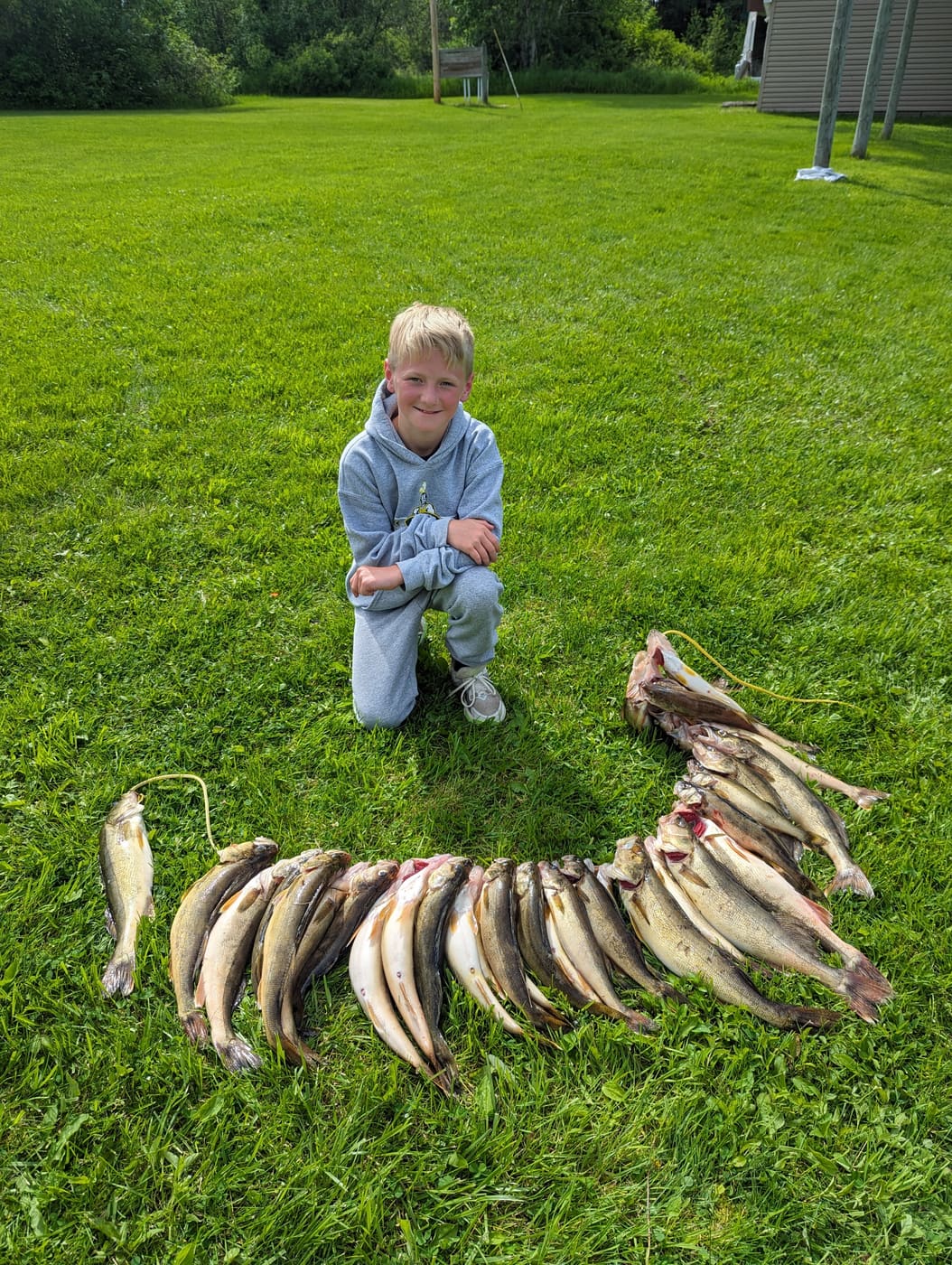 Kid kneeling behind a huge stringer of walleye